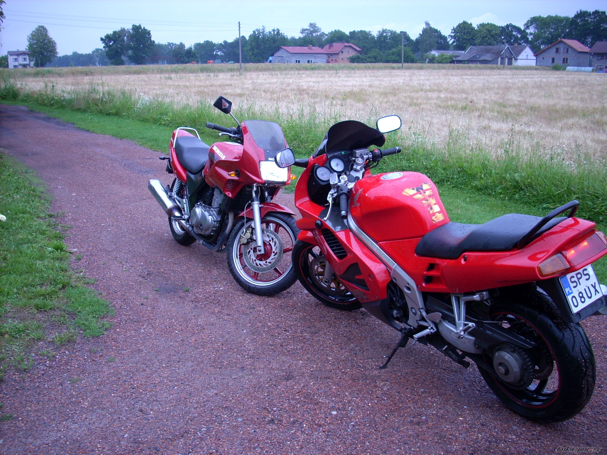 Photo 1355225