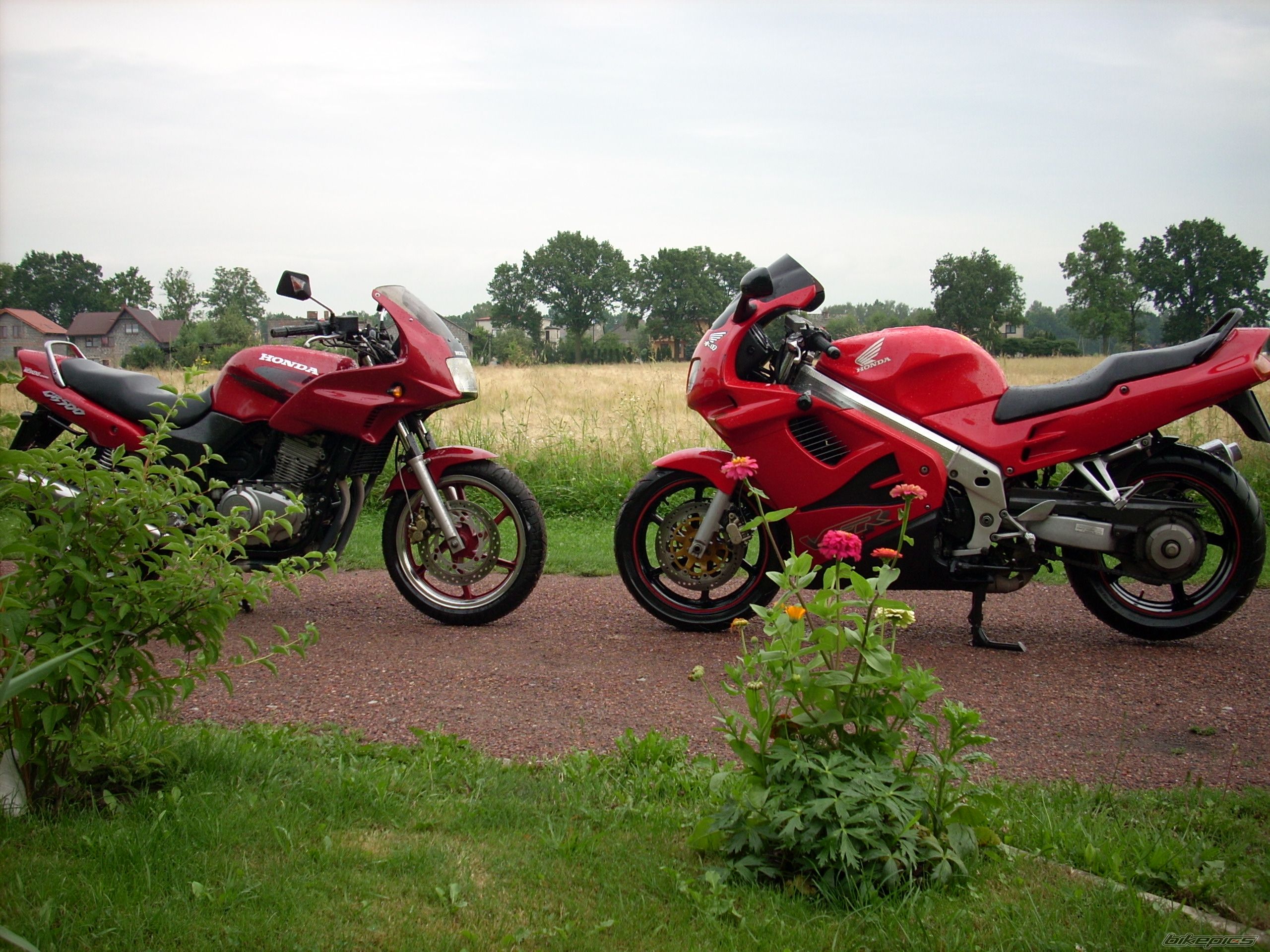 Photo 1355245