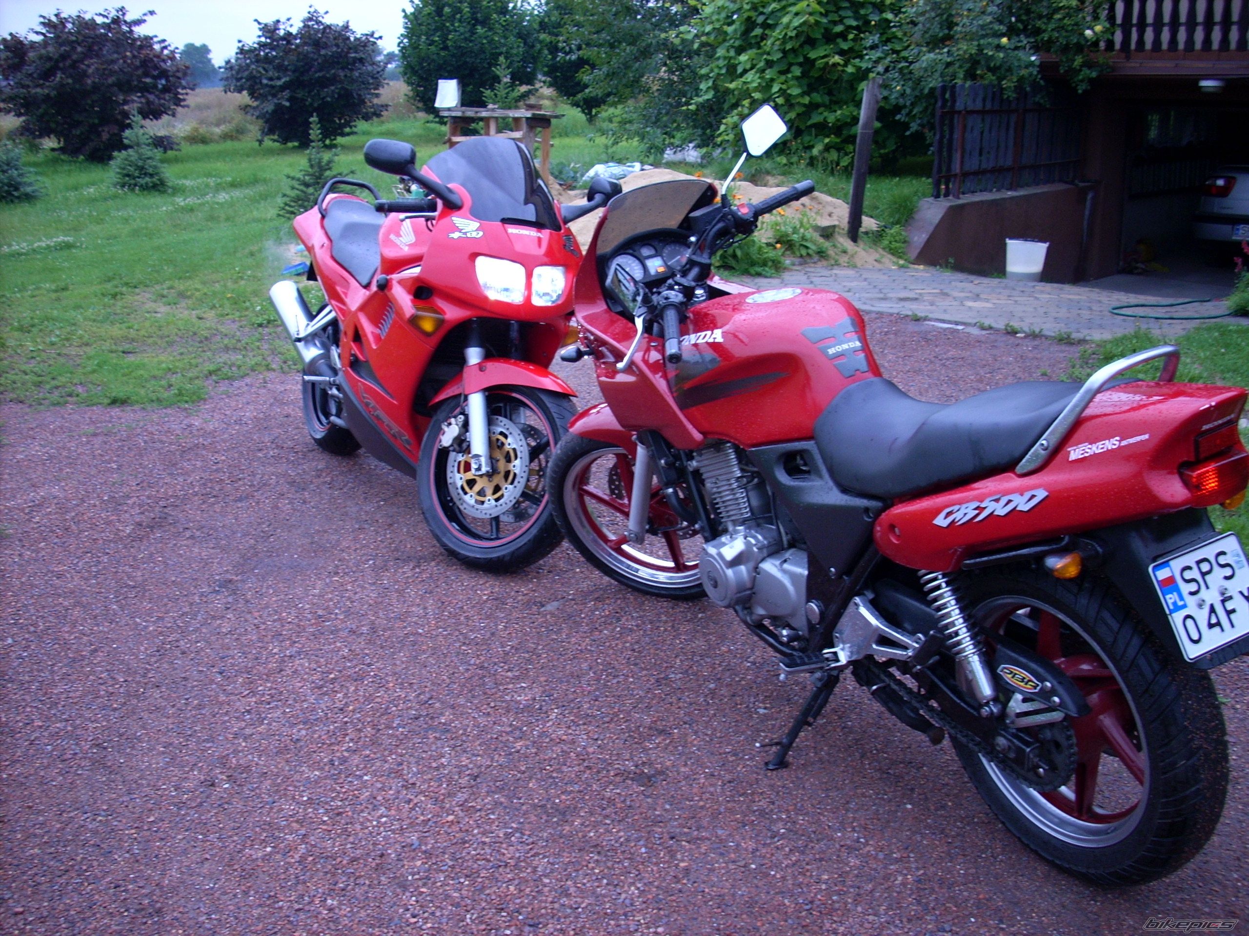 Photo 1355262