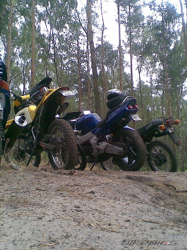 Photo 1355265
