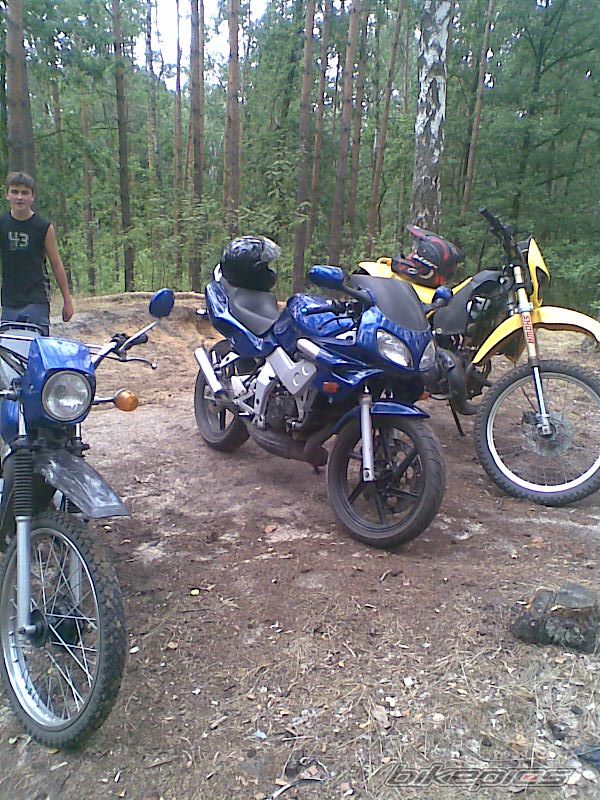 Photo 1355268