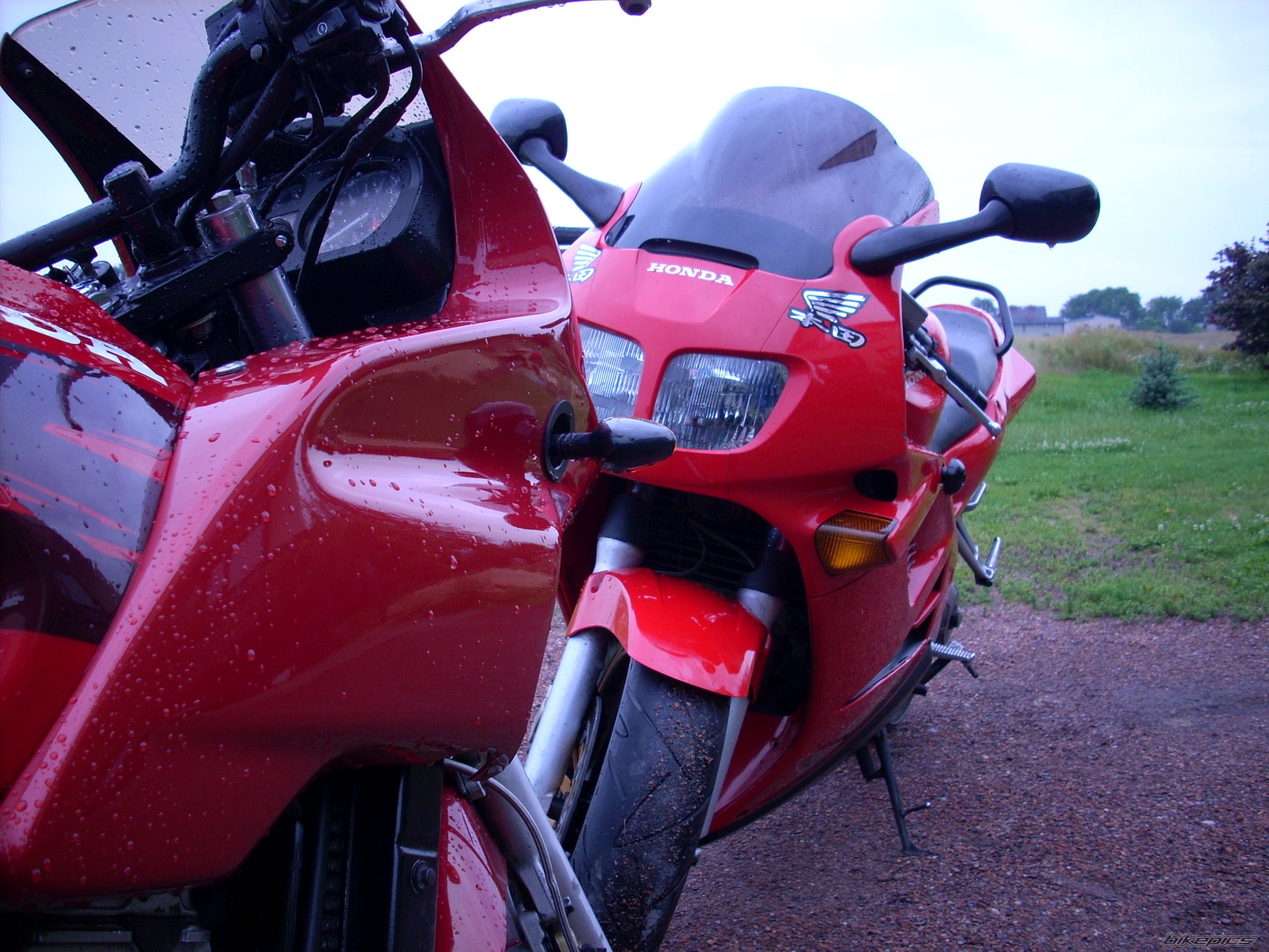Photo 1355269