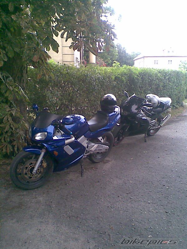 Photo 1355275