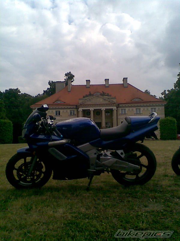 Photo 1355277