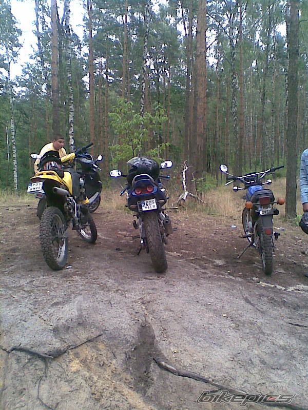 Photo 1355283