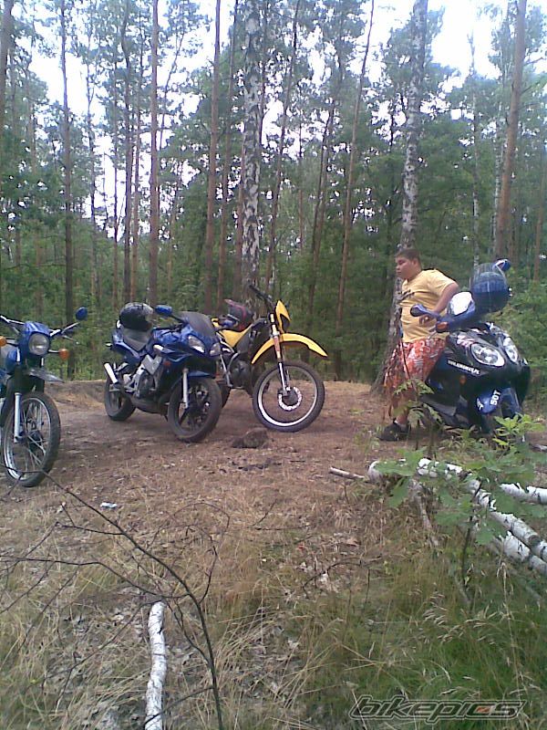 Photo 1355285