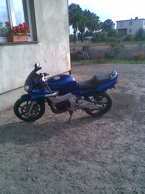 Photo 1355286