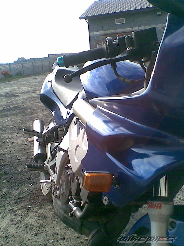 Photo 1355288