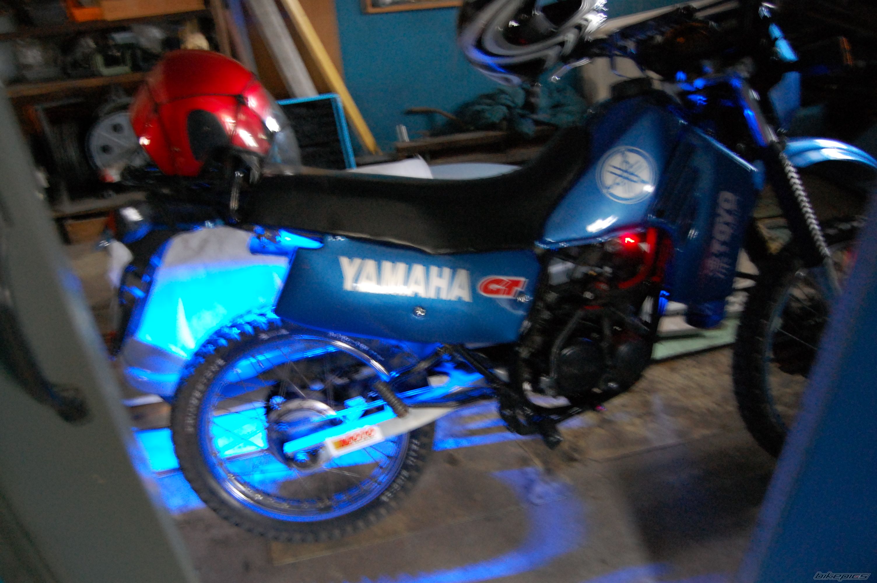Photo 1355302