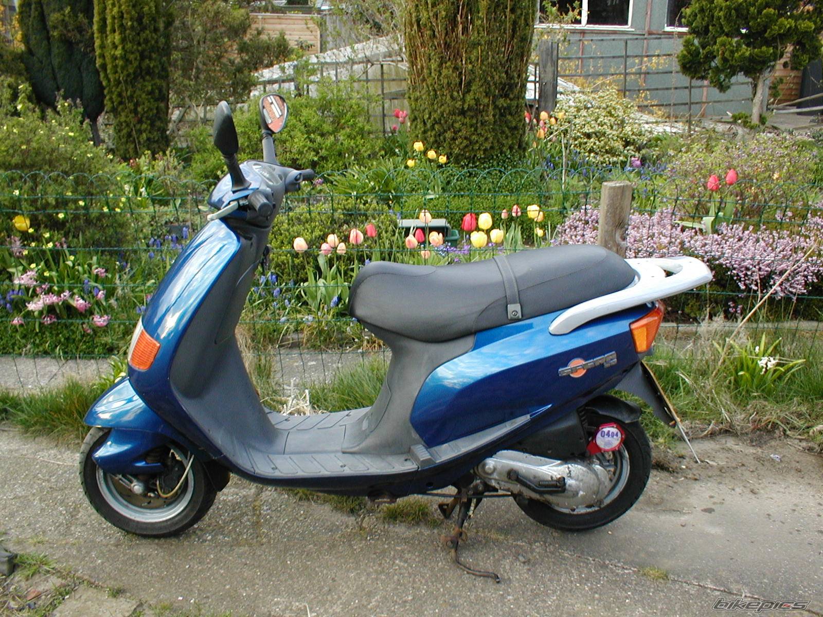 Photo 135536