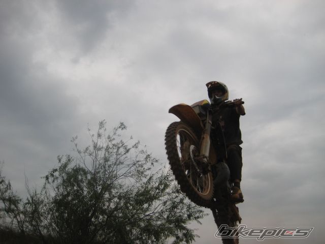 Photo 1355380