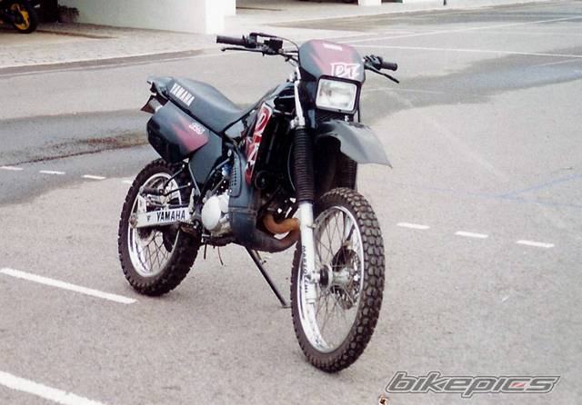 Photo 135541