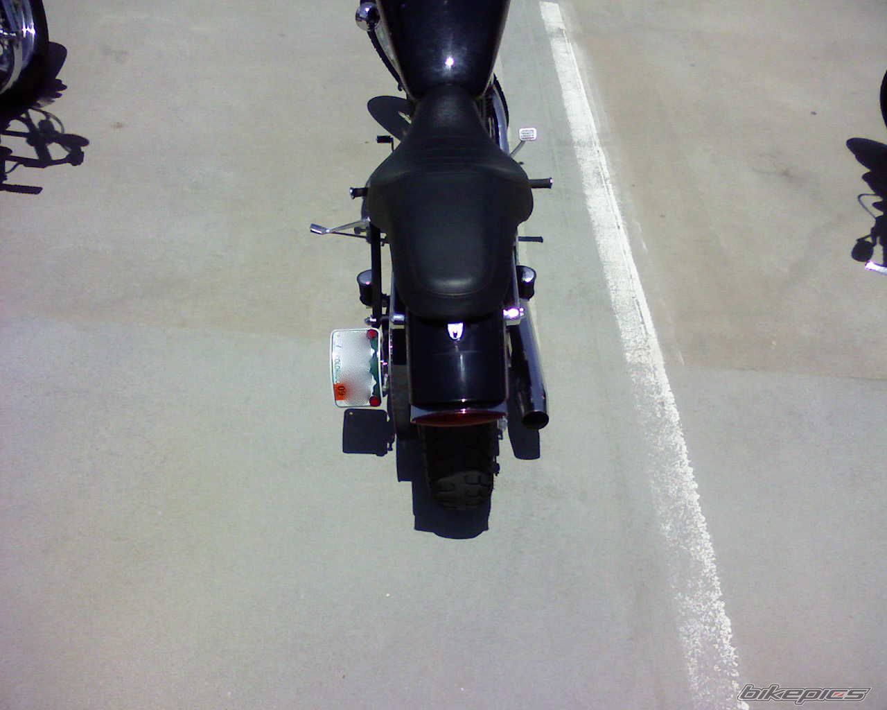 Photo 1355453