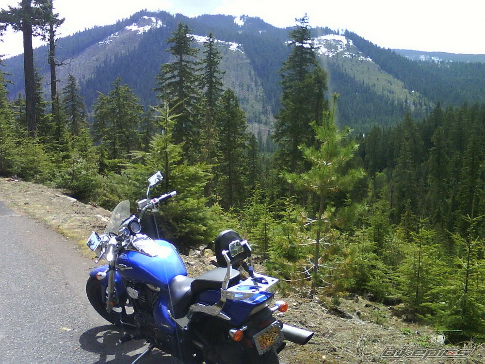 Photo 1355476