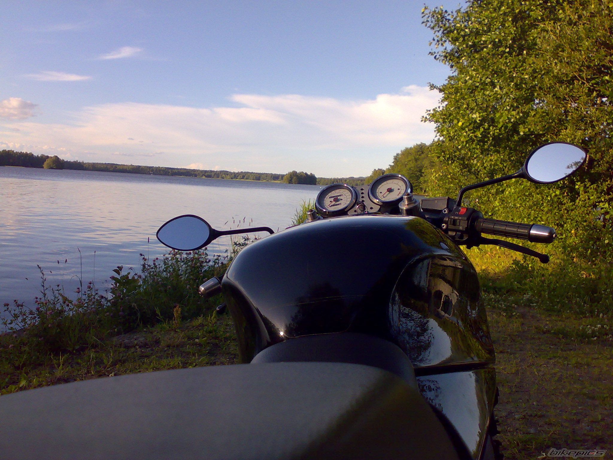 Photo 1355507