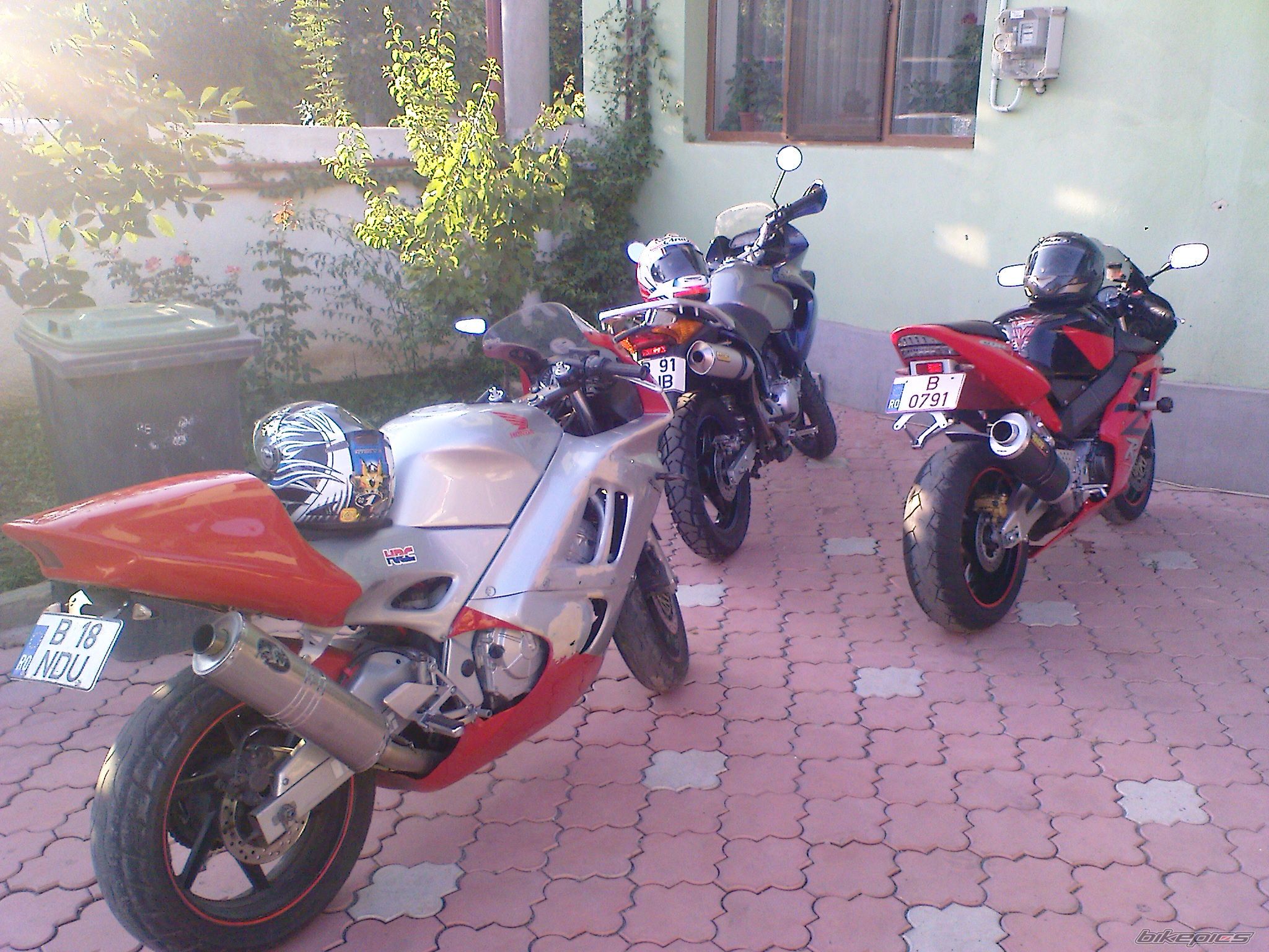 Photo 1355572