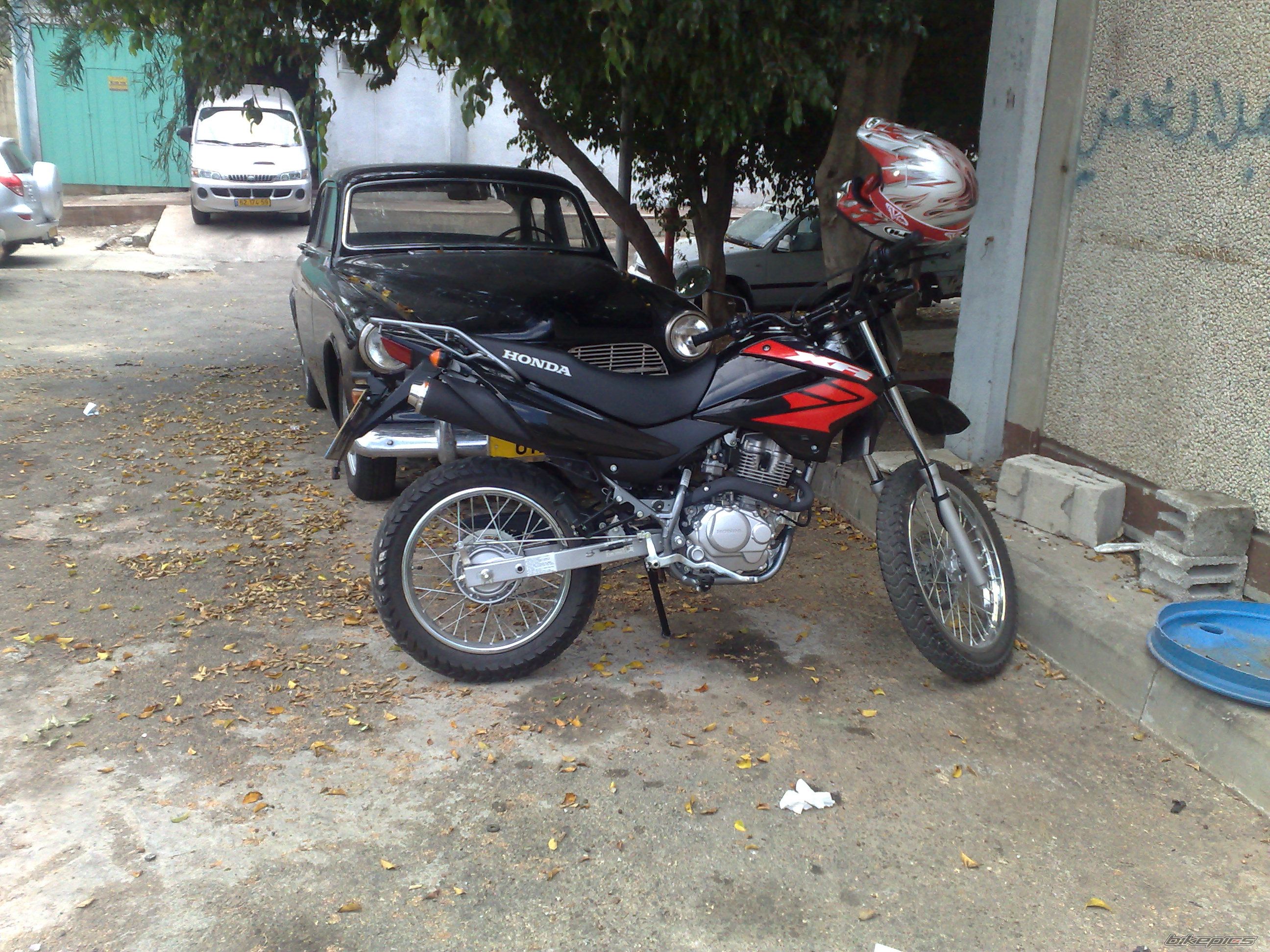 Photo 1355590