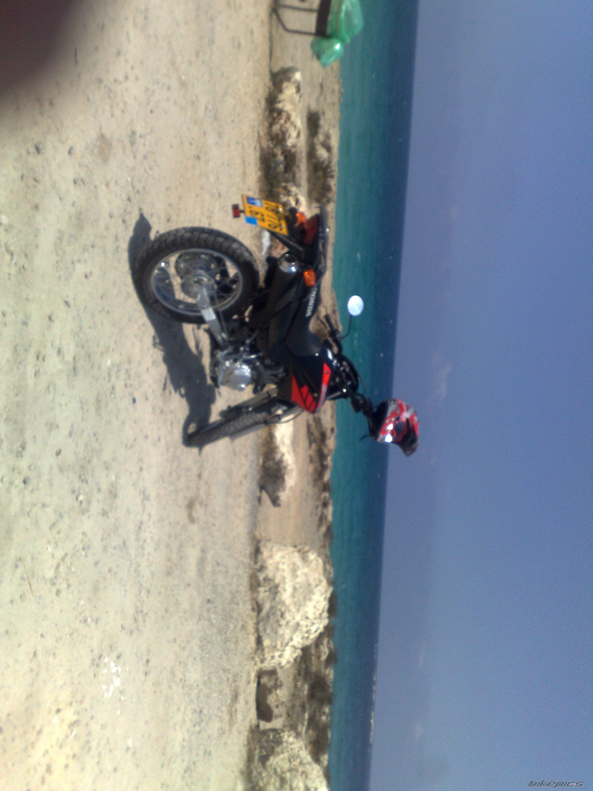 Photo 1355599
