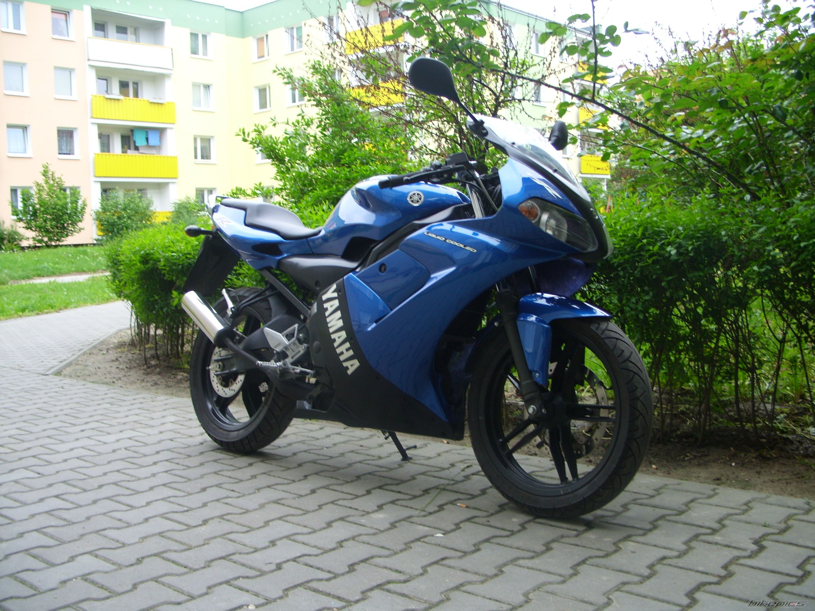 Photo 1355673
