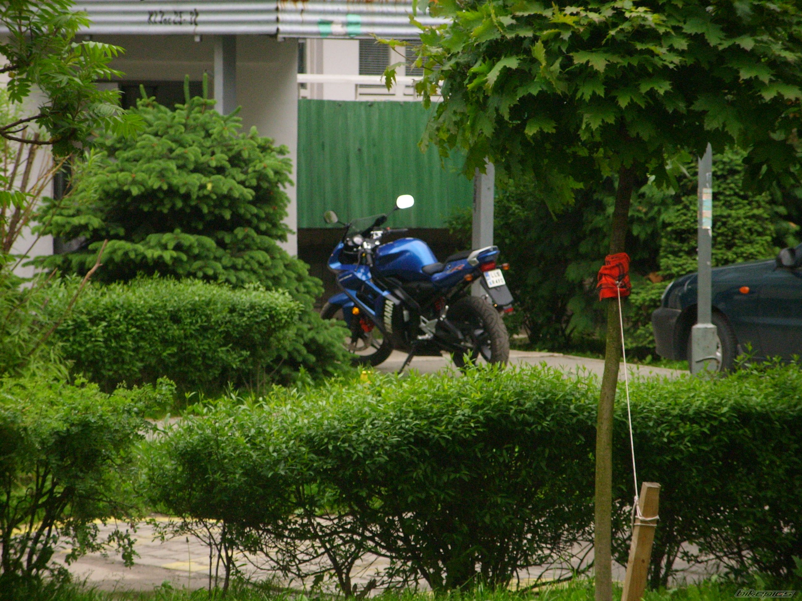 Photo 1355677