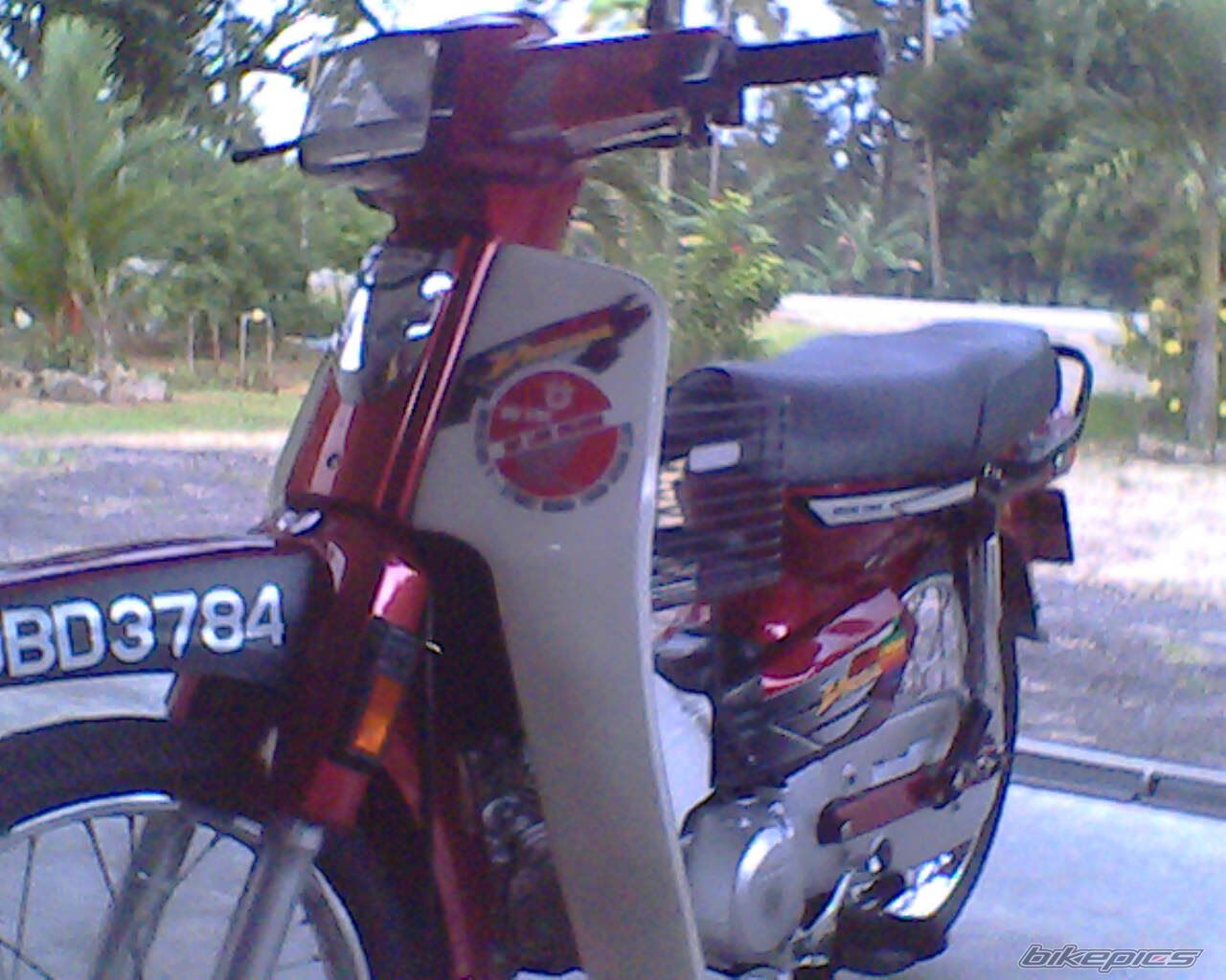 Photo 1355775