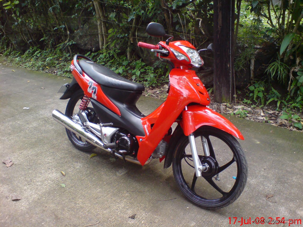 Photo 1355794