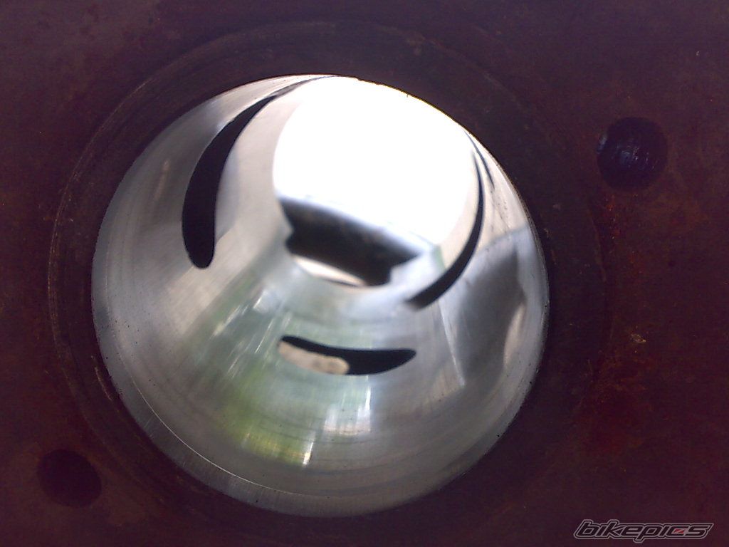 Photo 1355806