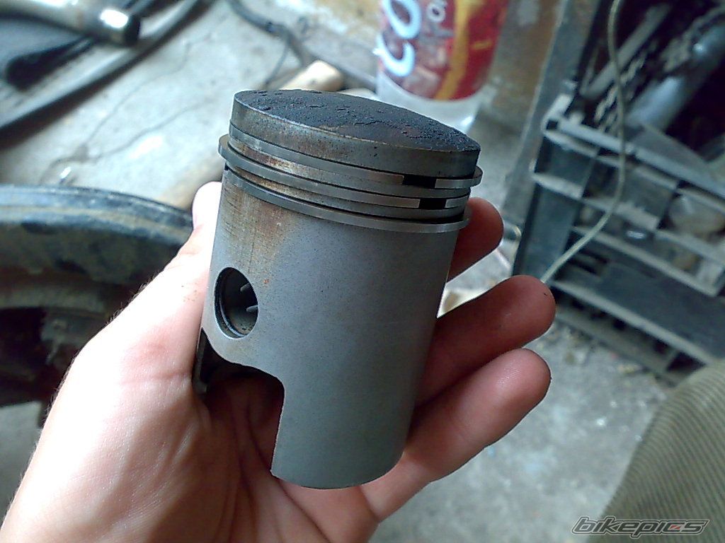 Photo 1355809