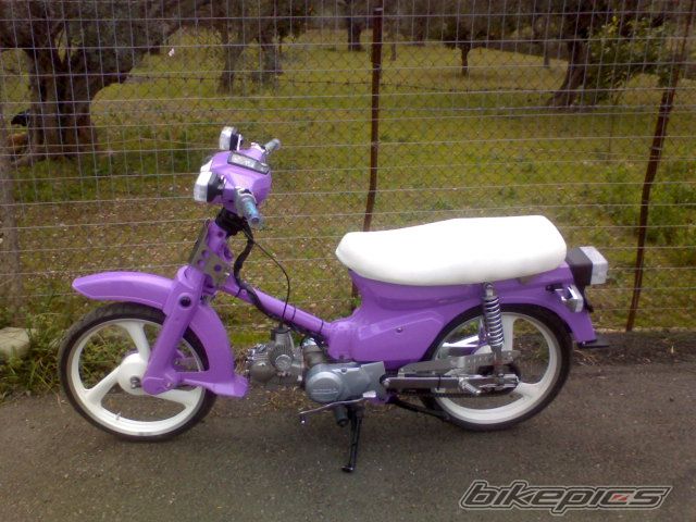 Photo 1355841