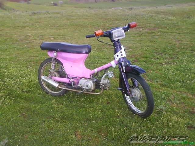Photo 1355862