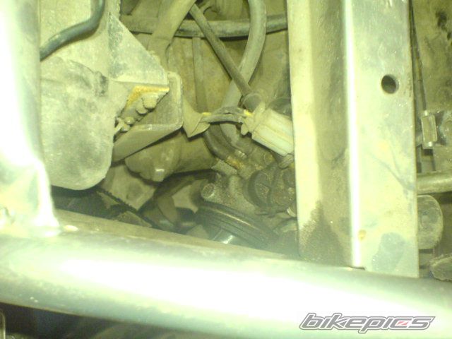 Photo 1355872