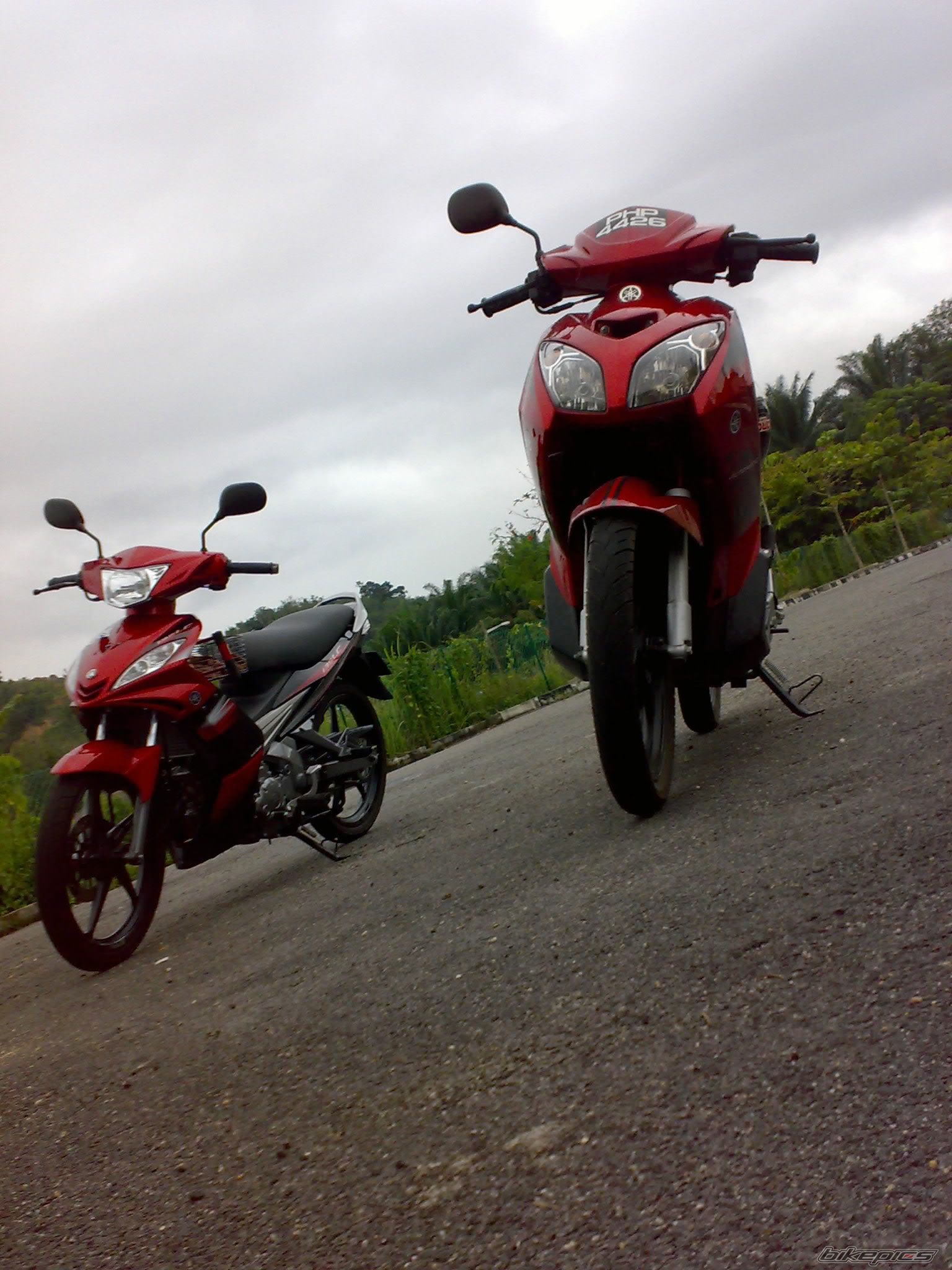 Photo 1355880