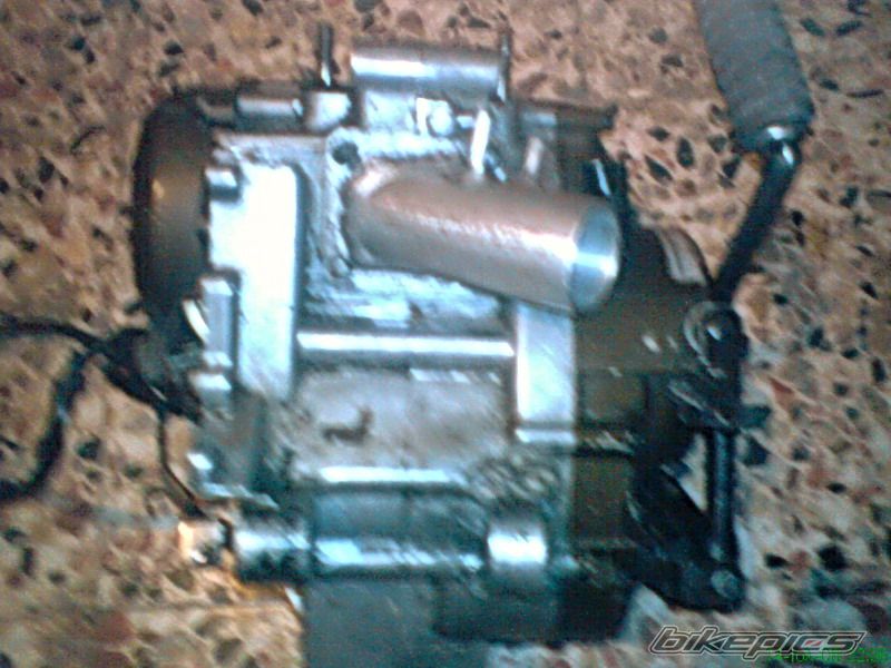 Photo 1355894