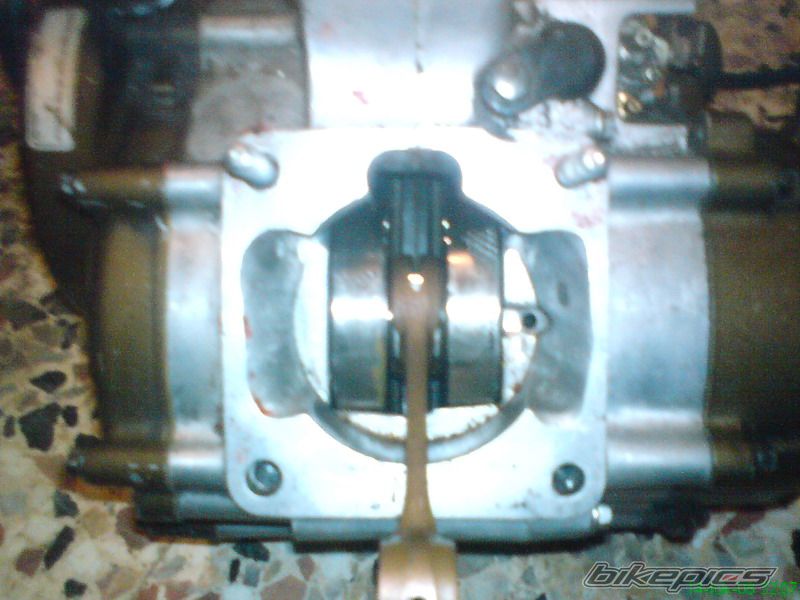 Photo 1355898