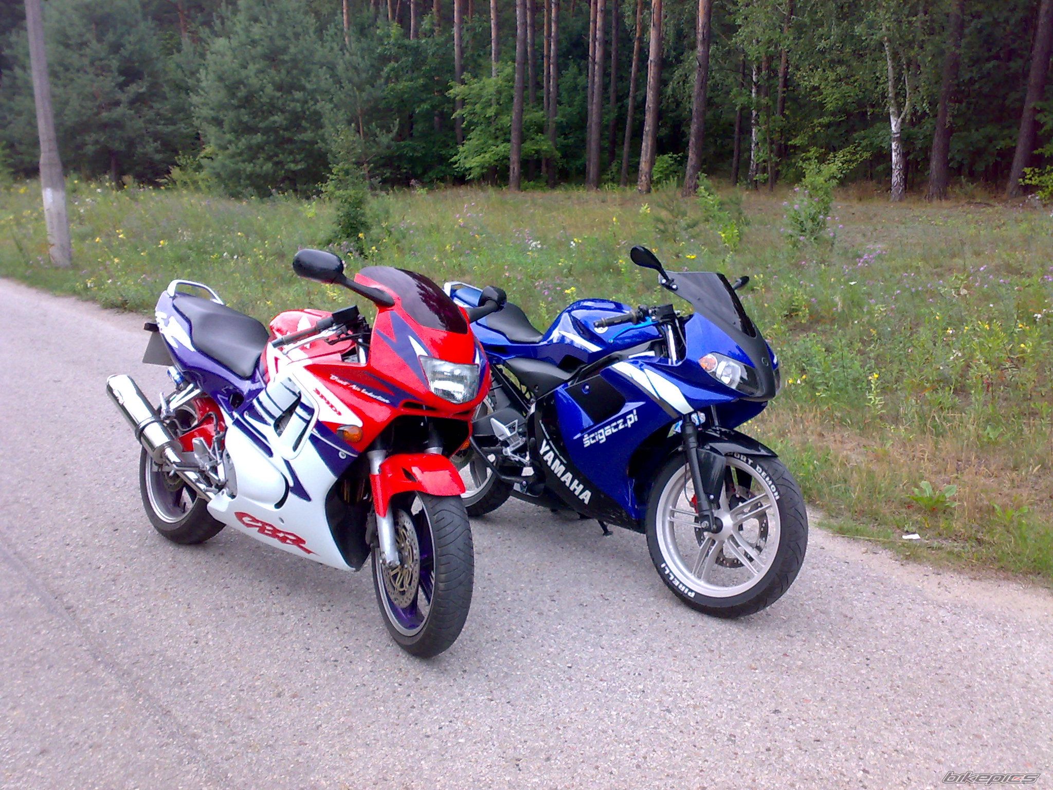 Photo 1355975