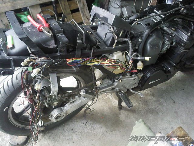 Photo 1355987