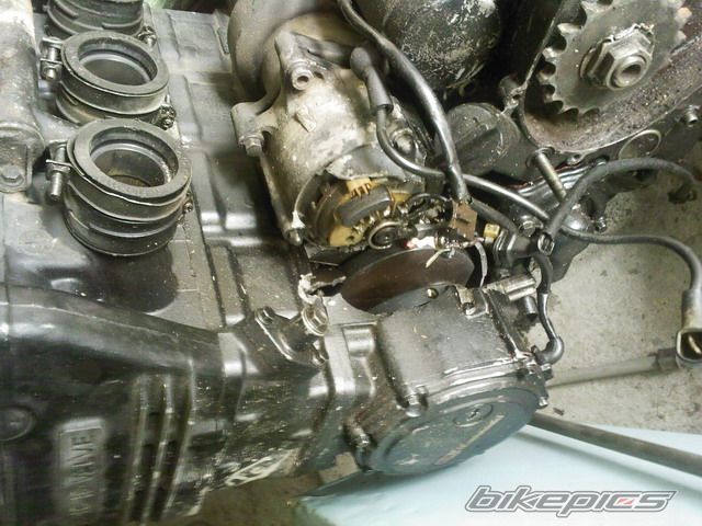 Bike Photo 1355988