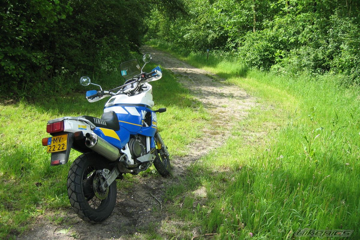 Photo 1356055