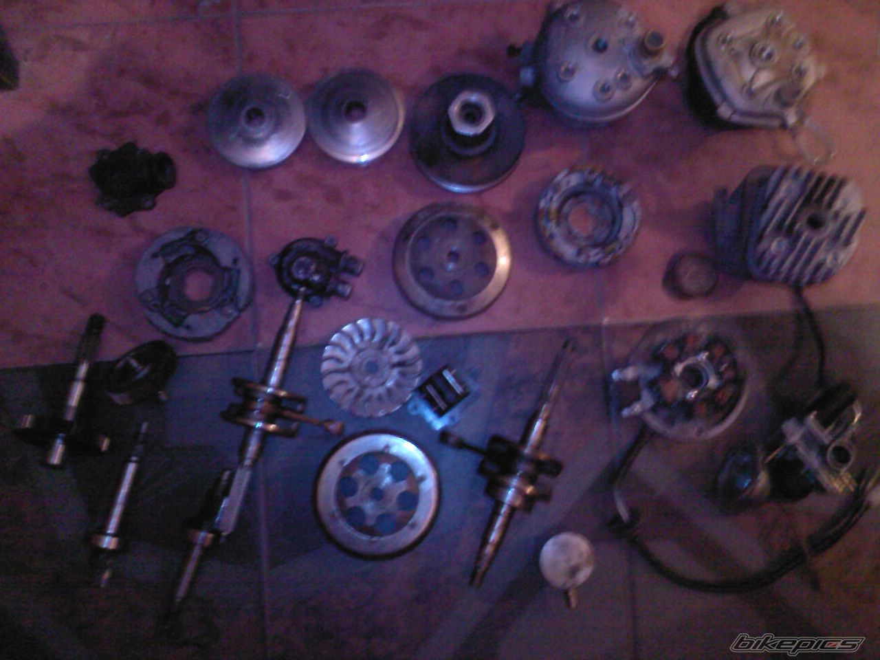Photo 1356137