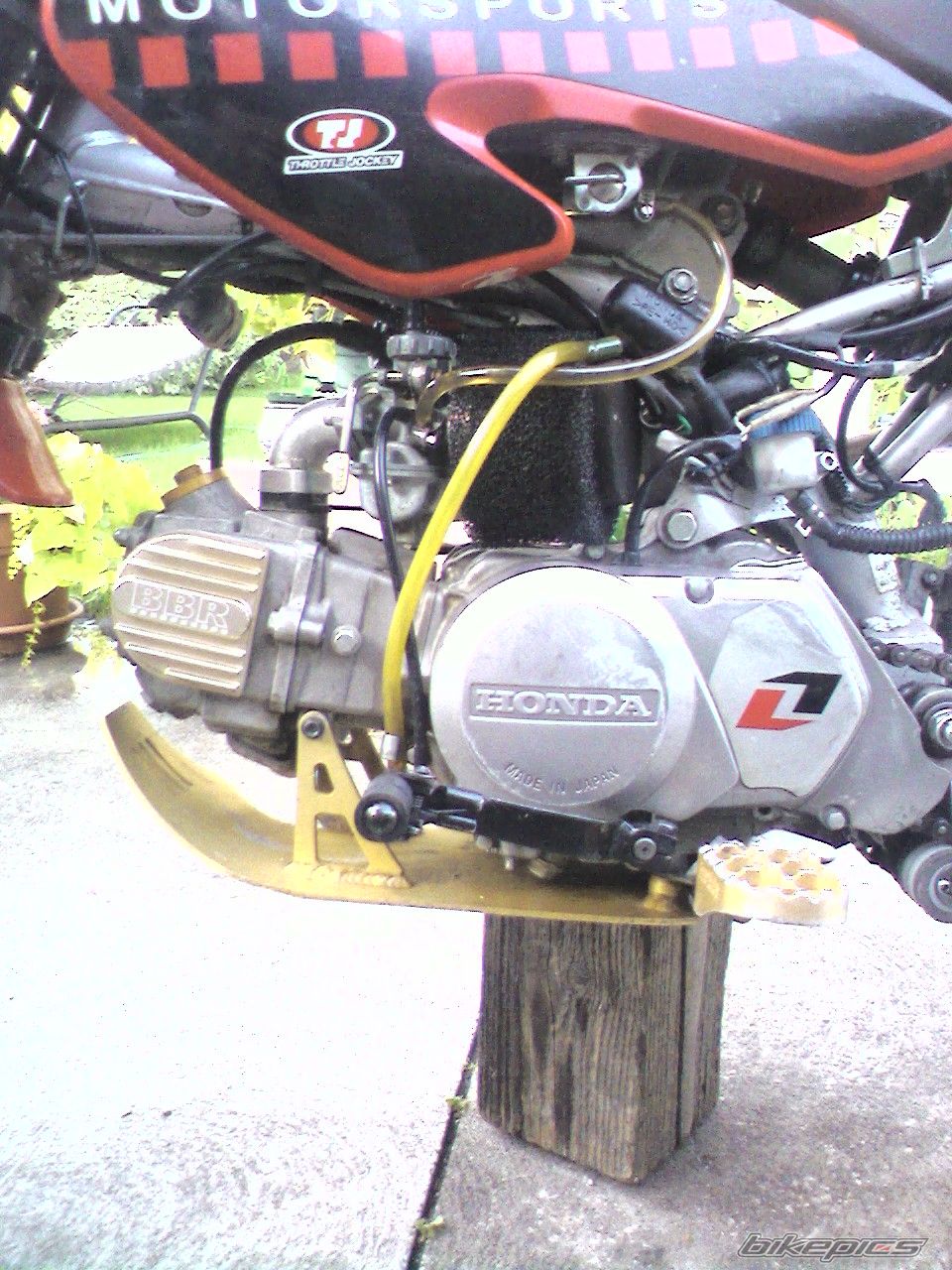 Photo 1356181