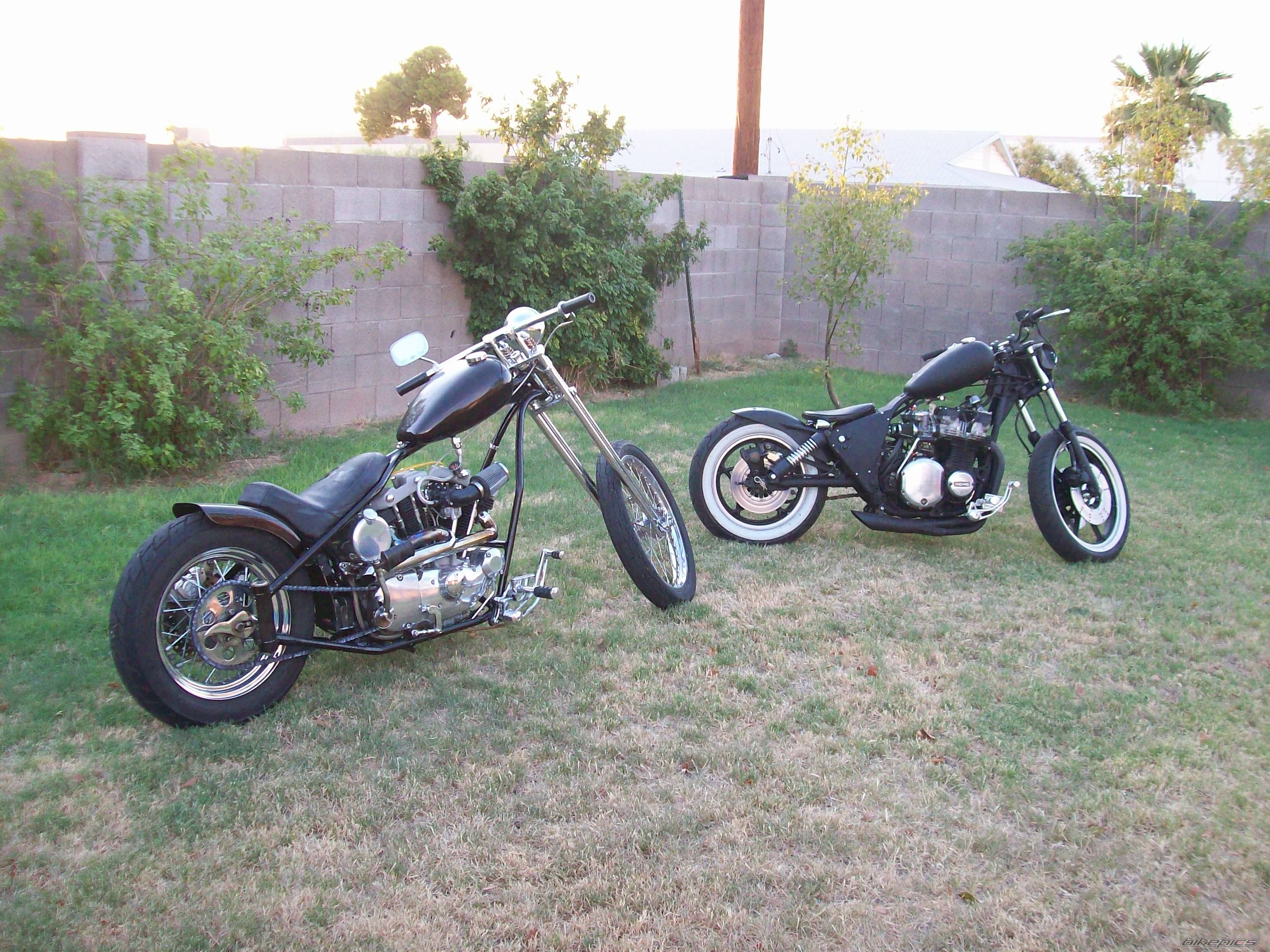 Photo 1356207