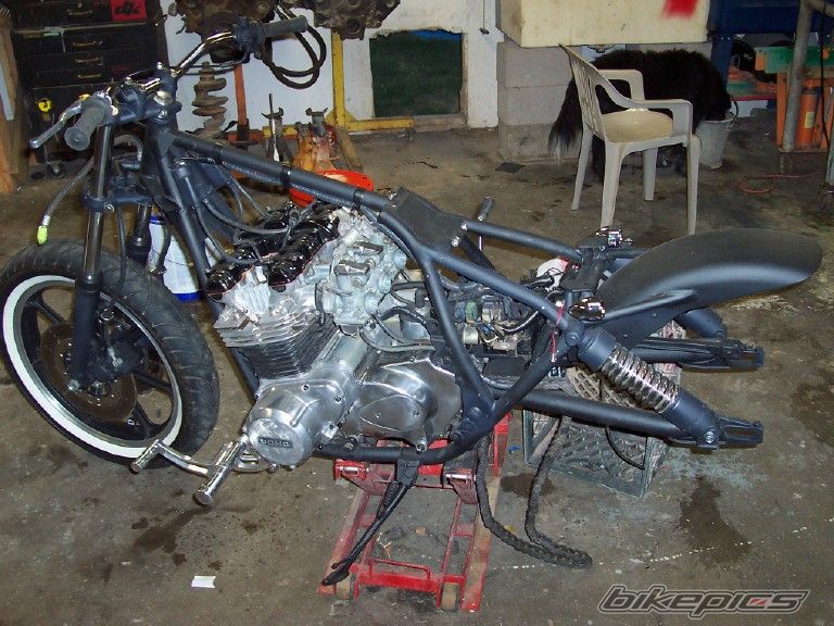 Photo 1356213
