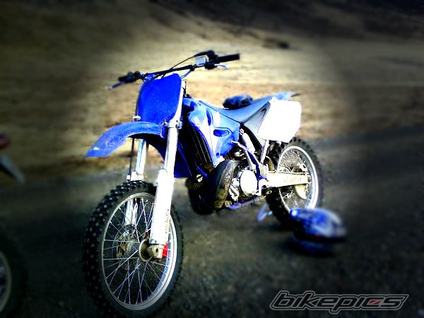 Photo 1356223