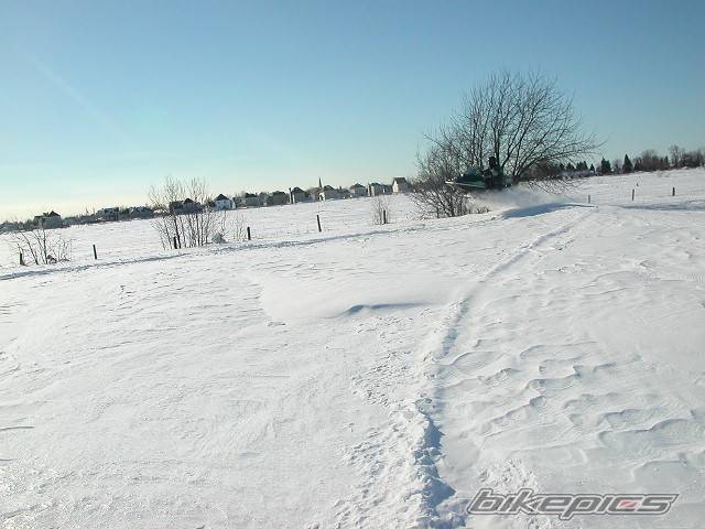 Photo 135625