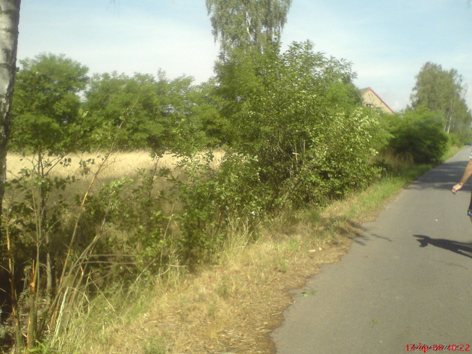Photo 1356272