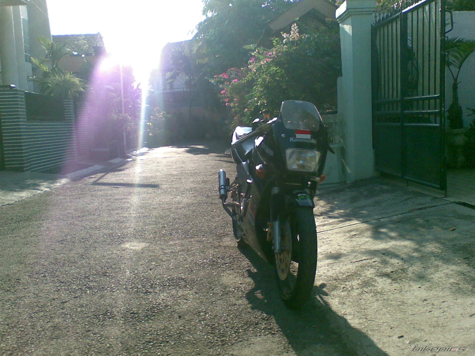 Bike Photo 1356274