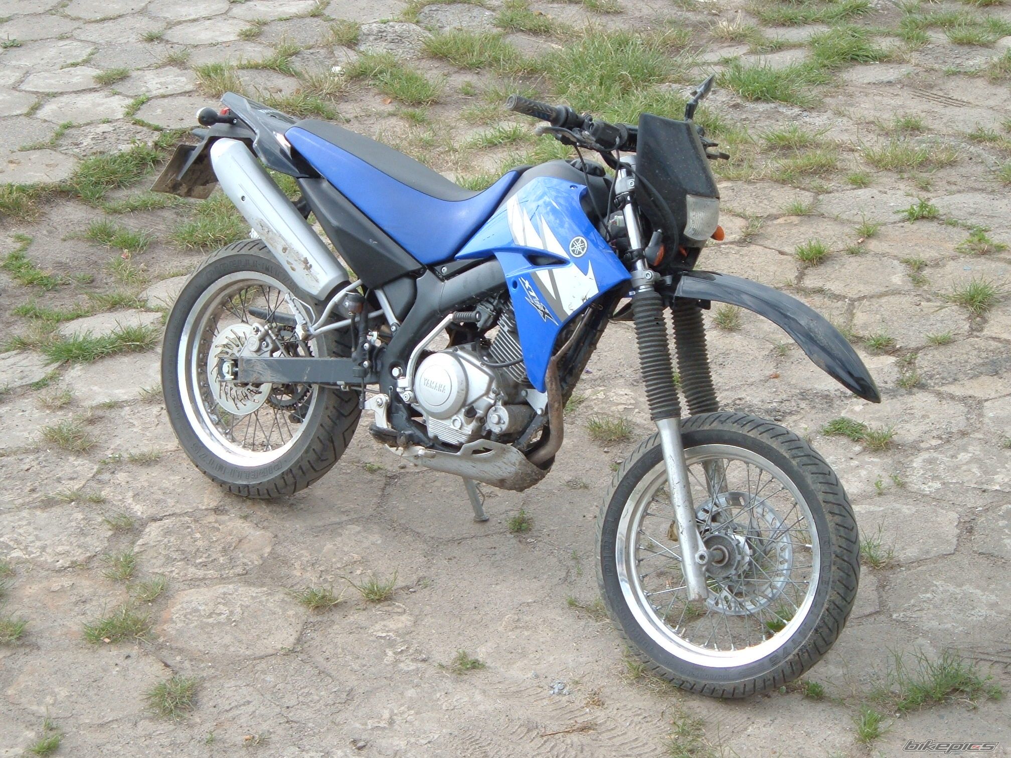 Bike Photo 1356323