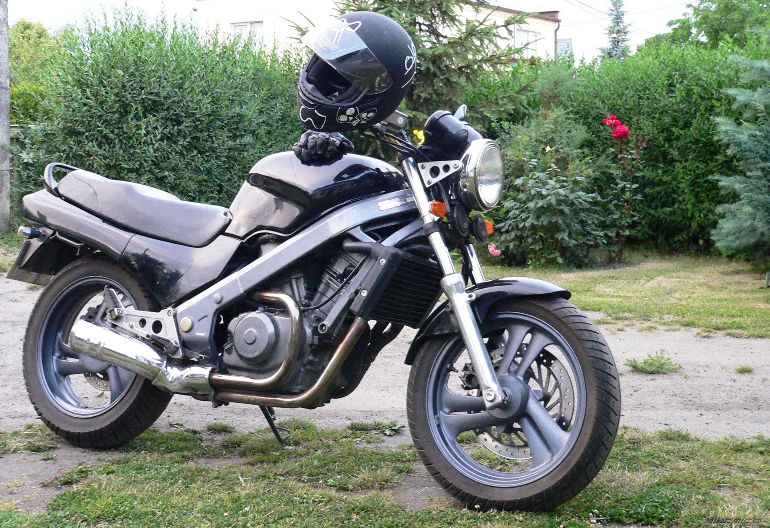 Photo 1356327