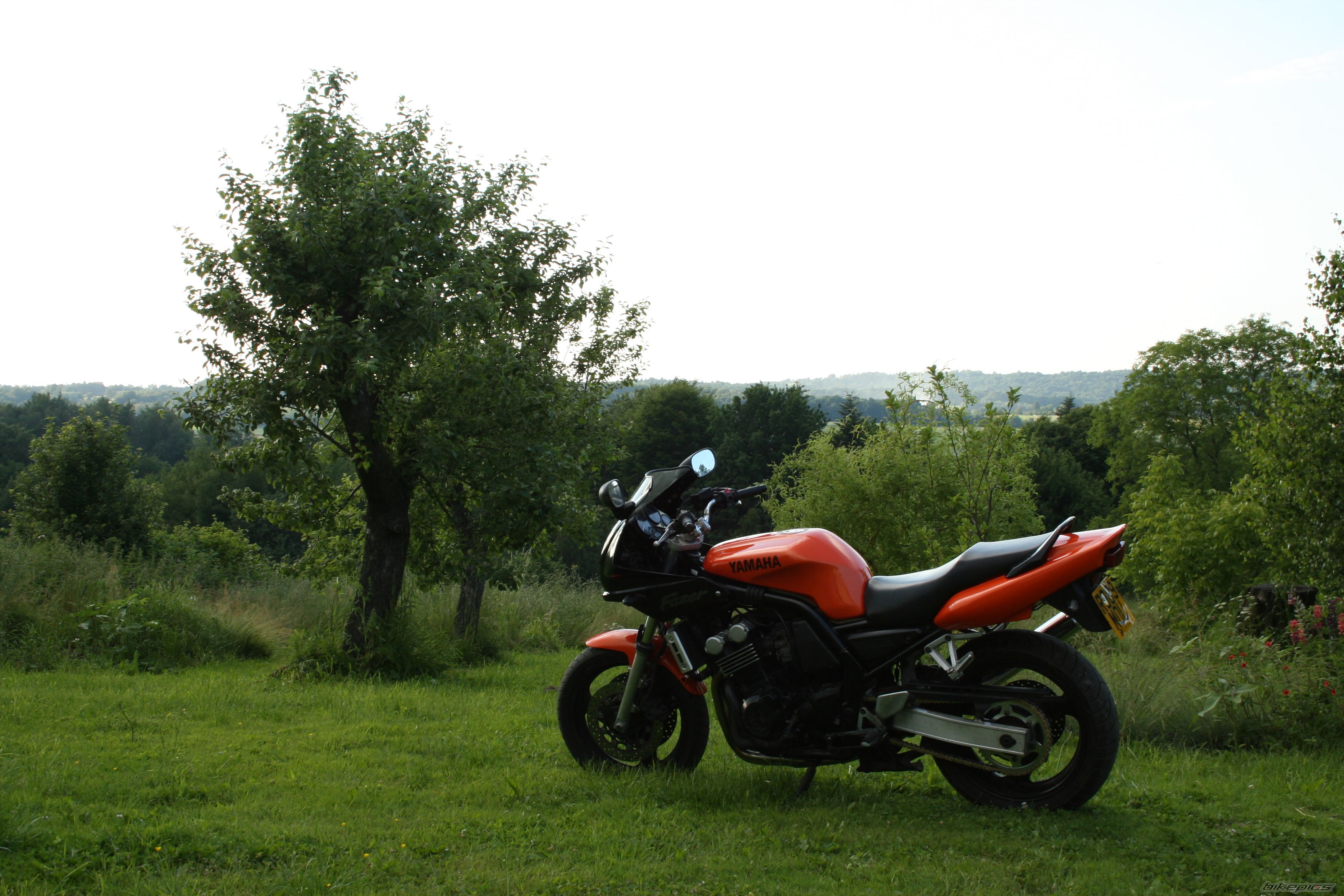 Photo 1356366