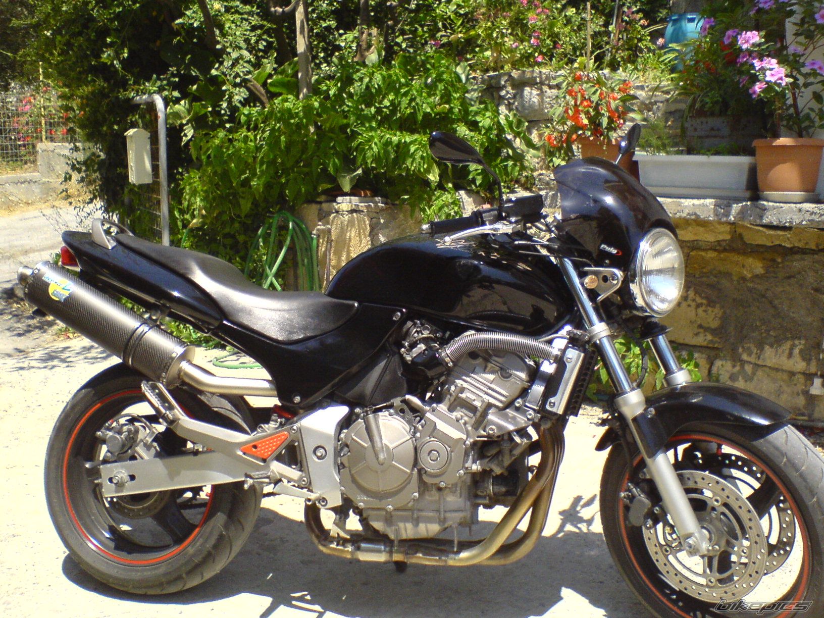 Photo 1356371